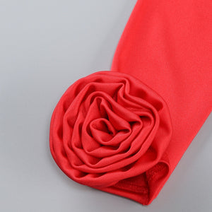 Long Sleeved Red 3D Flower Dress