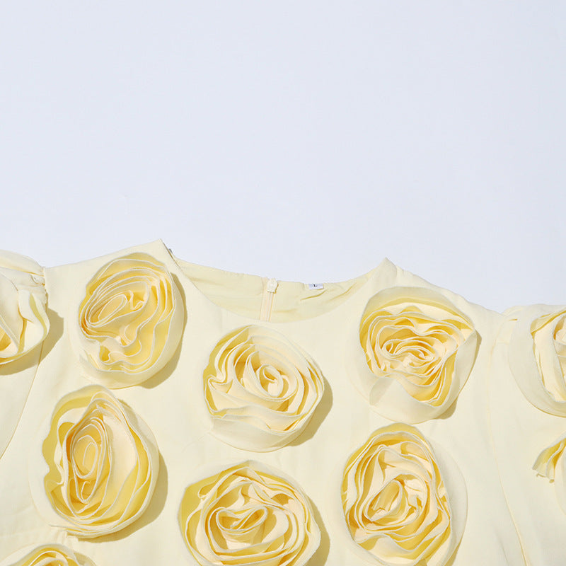 3D Floral Appliqué Puff-Sleeve Crop Top and Skirt Set - Chiccharm