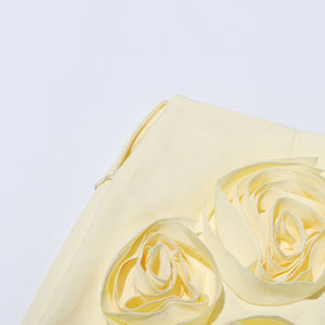 3D Floral Appliqué Mini Dress Puff-Sleeve Crop Top and Skirt Set - Chiccharm