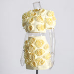 3D Floral Appliqué Puff-Sleeve Crop Top and Skirt Set - Chiccharm